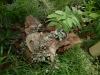 DSCF0334.JPG - 2004:10:22 11:45:04