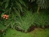 DSCF0345.JPG - 2004:10:22 11:49:30
