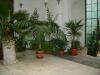 DSCF0373.JPG - 2004:10:22 11:58:04