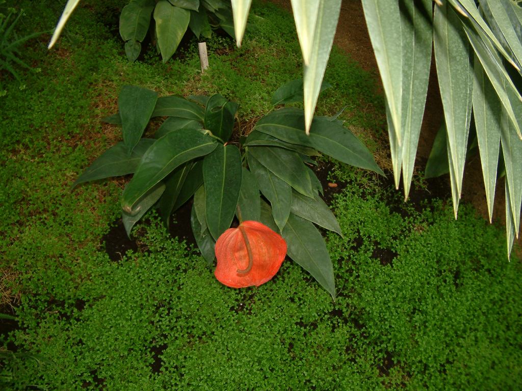 * Image 43