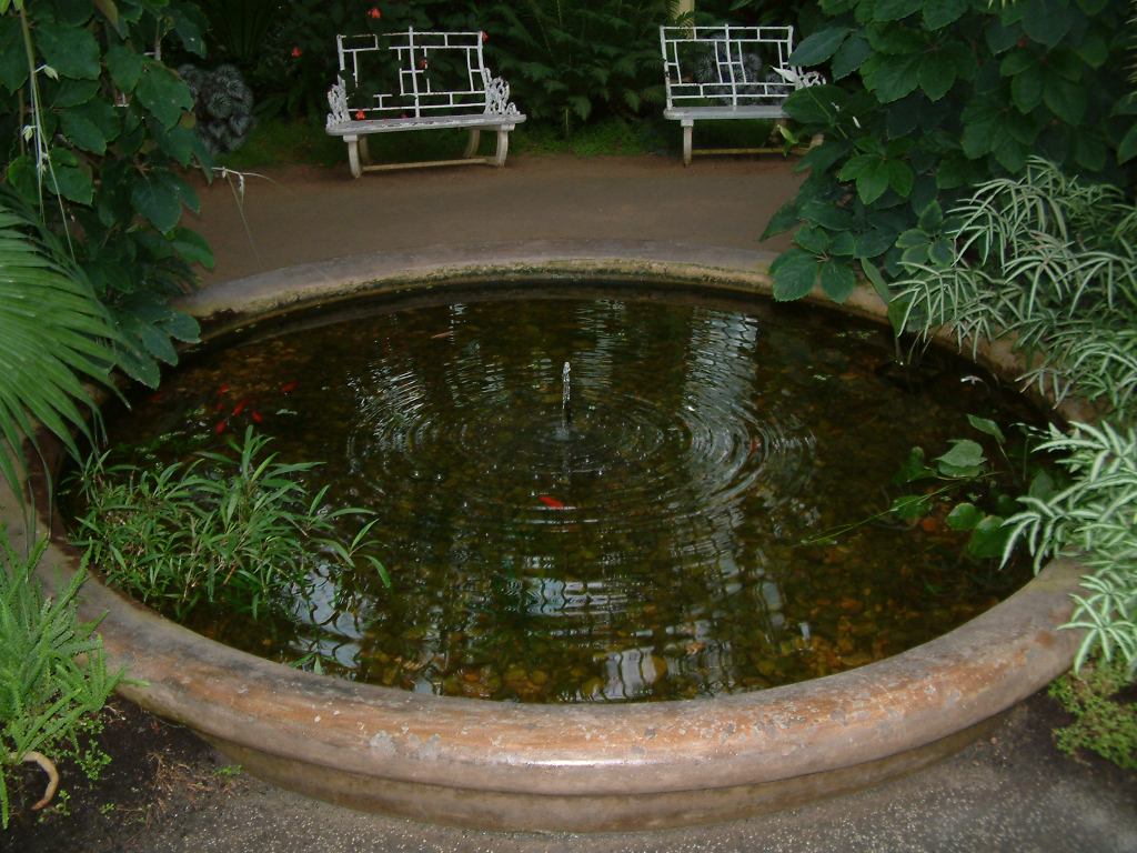 * Image 44