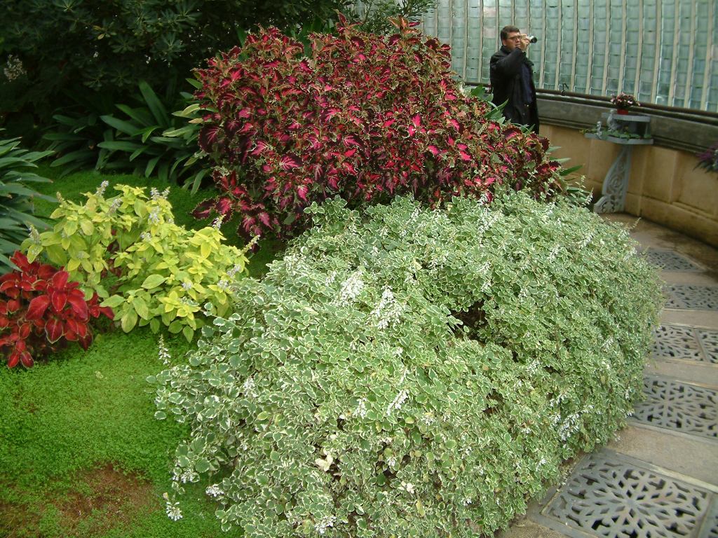 * Image 56