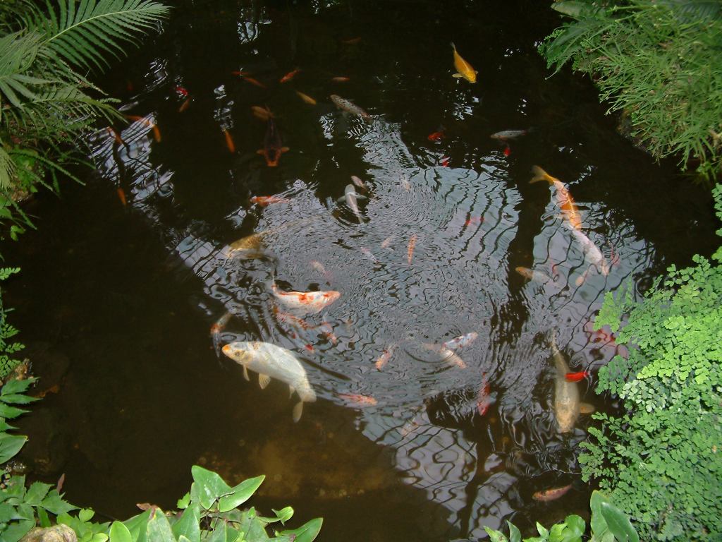 * Image 74