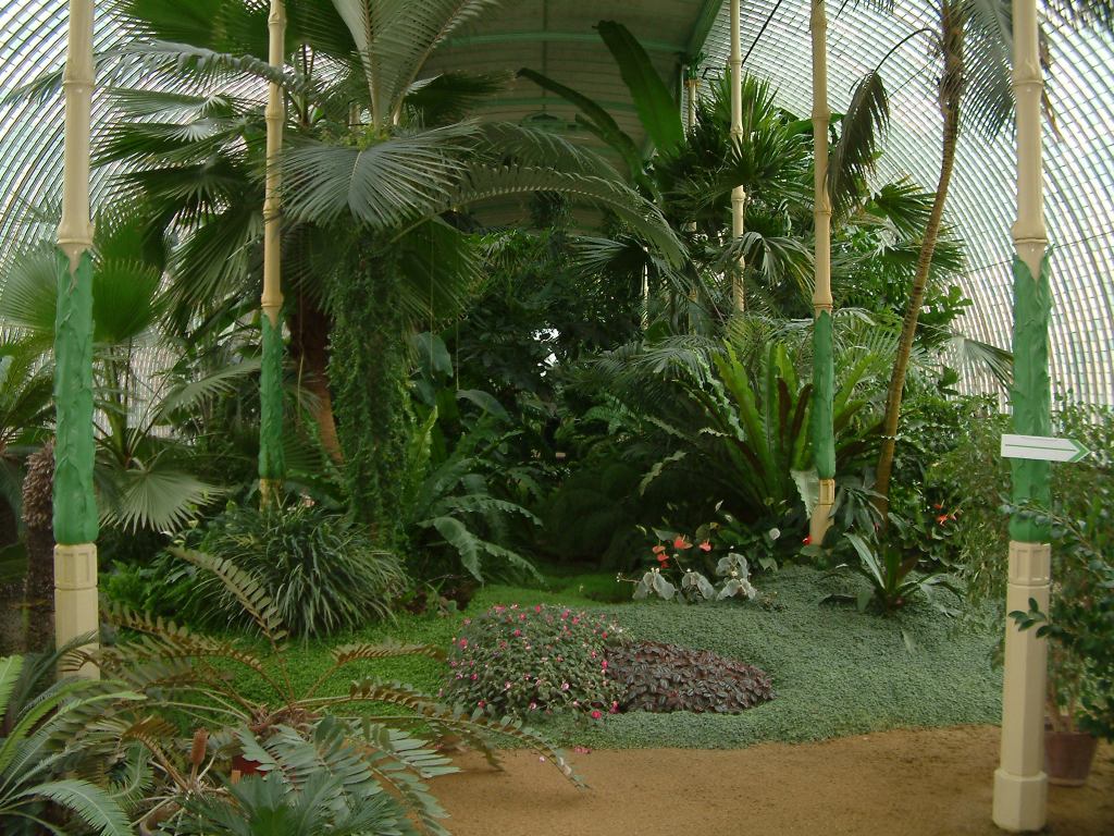 * Image 93