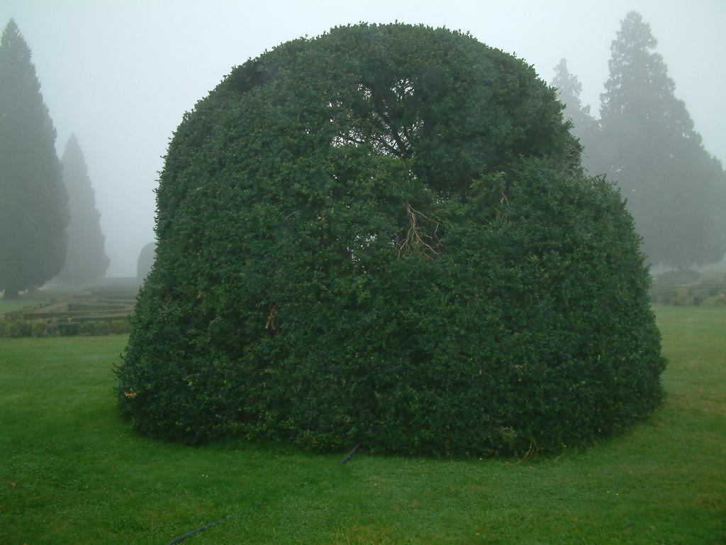 * Image 125