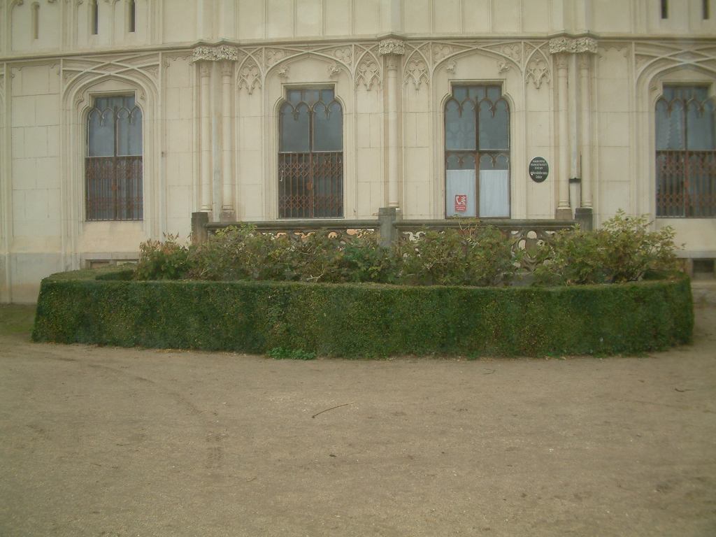 * Image 131