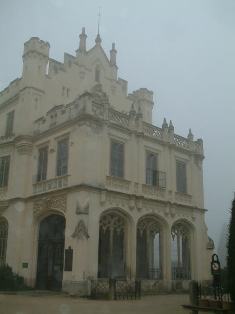 * Image 15