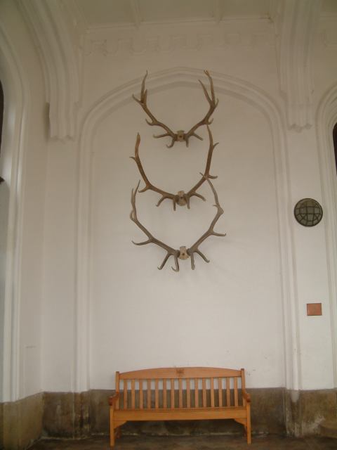 * Image 16