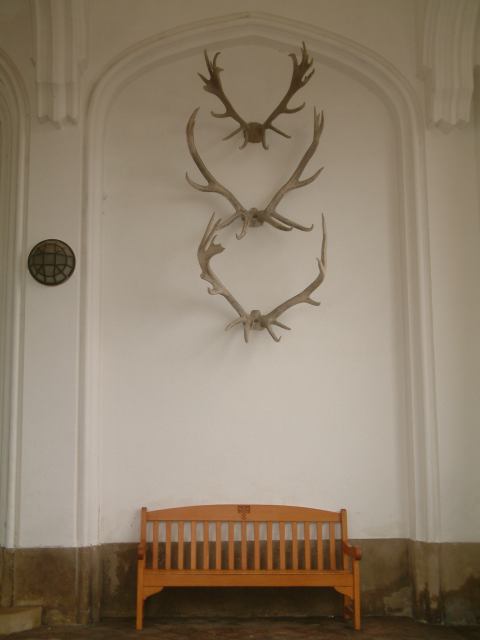 * Image 17