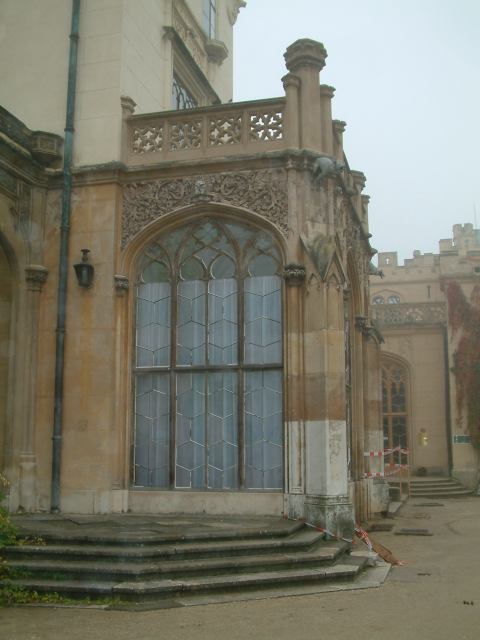 * Image 19