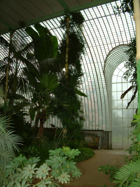 * Image 32