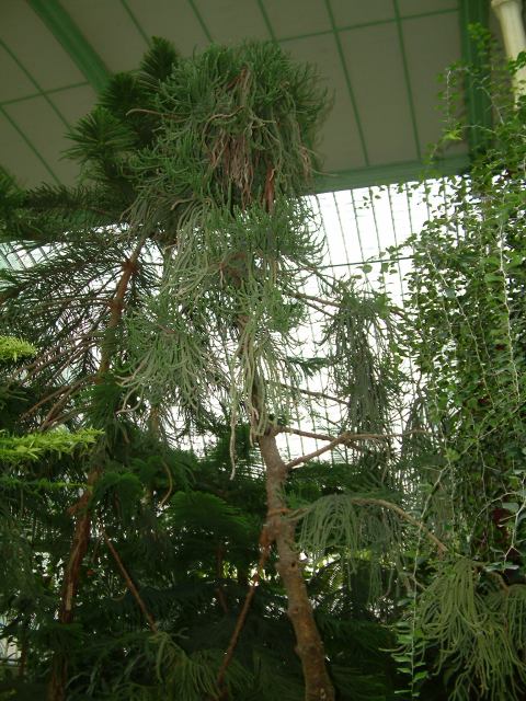 * Image 65