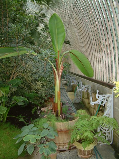 * Image 66