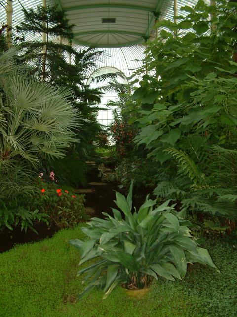 * Image 67