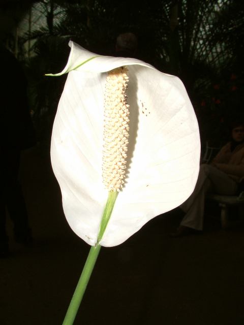 * Image 69