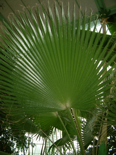 * Image 79