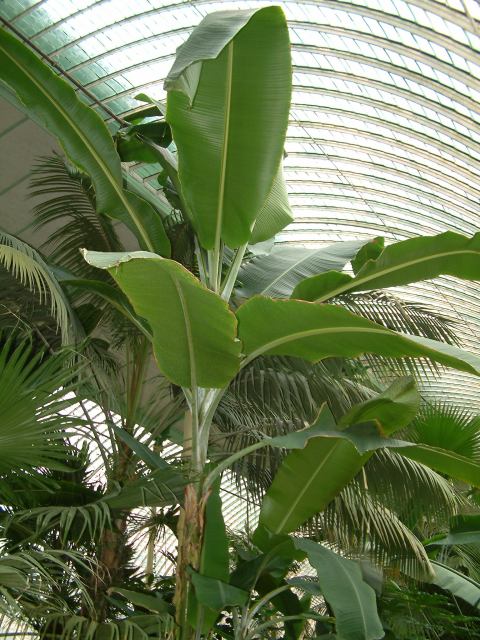 * Image 83
