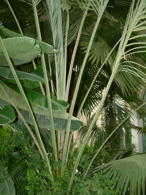 * Image 87