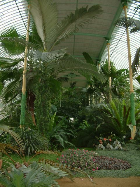 * Image 92