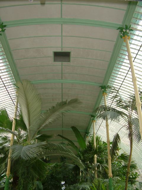 * Image 95