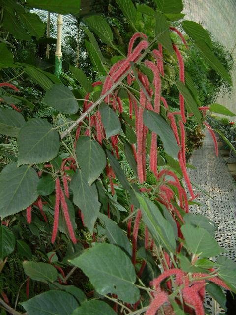 * Image 98
