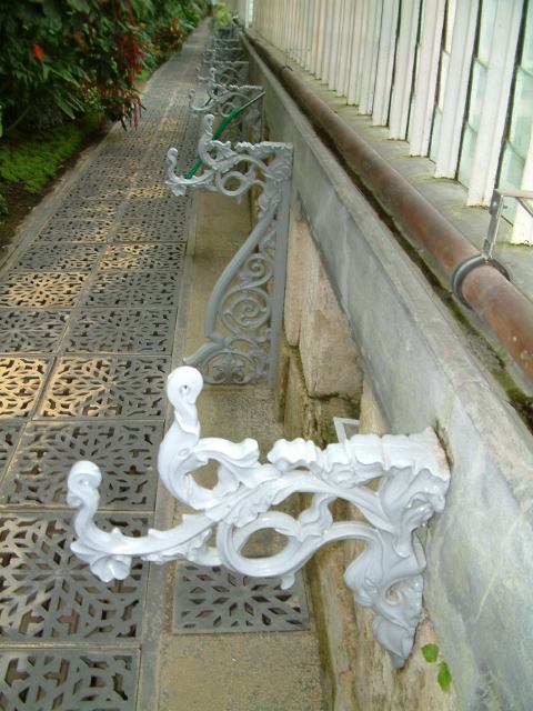 * Image 102