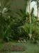 DSCF0279.JPG - 2004:10:22 11:31:17