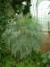 DSCF0287.JPG - 2004:10:22 11:32:49