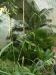 DSCF0291.JPG - 2004:10:22 11:33:22