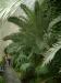 DSCF0302.JPG - 2004:10:22 11:35:49