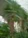 DSCF0303.JPG - 2004:10:22 11:36:03