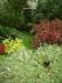 DSCF0314.JPG - 2004:10:22 11:39:01