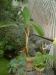 DSCF0322.JPG - 2004:10:22 11:40:21