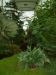 DSCF0323.JPG - 2004:10:22 11:40:33