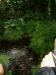 DSCF0330.JPG - 2004:10:22 11:42:43