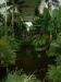 DSCF0333.JPG - 2004:10:22 11:44:50
