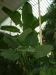 DSCF0335.JPG - 2004:10:22 11:45:20