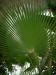 DSCF0337.JPG - 2004:10:22 11:45:43