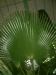 DSCF0338.JPG - 2004:10:22 11:45:56