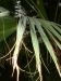 DSCF0339.JPG - 2004:10:22 11:46:21