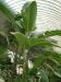 DSCF0342.JPG - 2004:10:22 11:49:03
