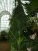 DSCF0343.JPG - 2004:10:22 11:49:13