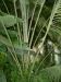 DSCF0346.JPG - 2004:10:22 11:49:41