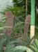 DSCF0349.JPG - 2004:10:22 11:50:14