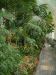 DSCF0356.JPG - 2004:10:22 11:52:28