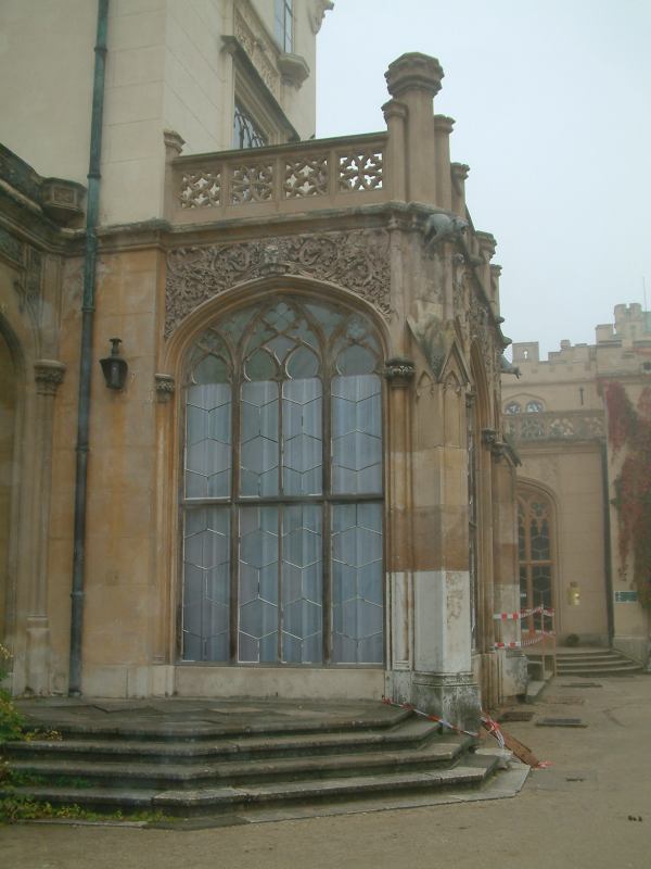 * Image 19