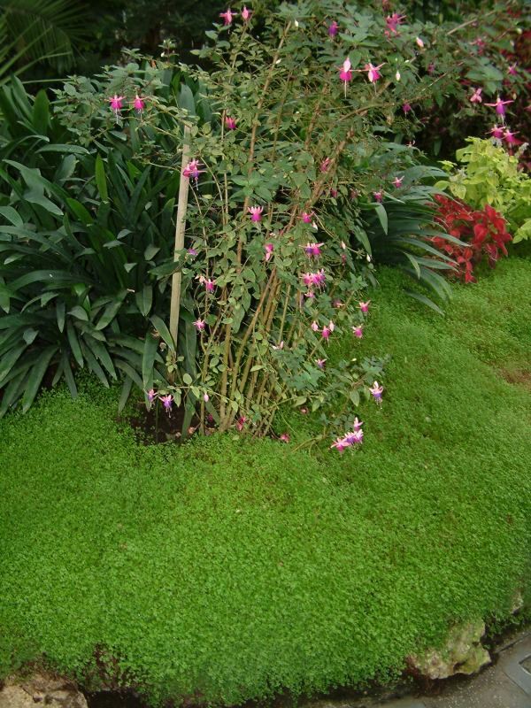 * Image 55