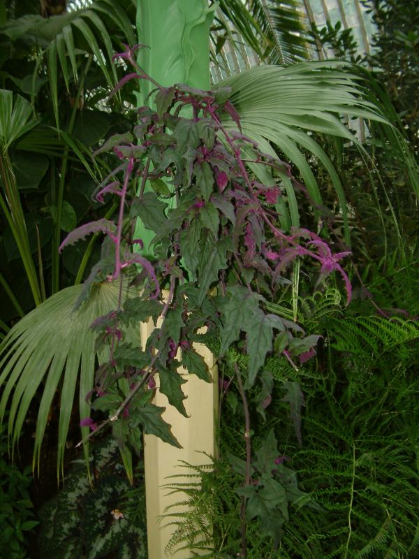 * Image 68