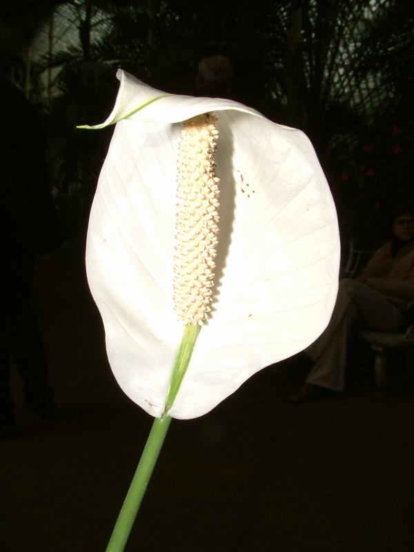* Image 69