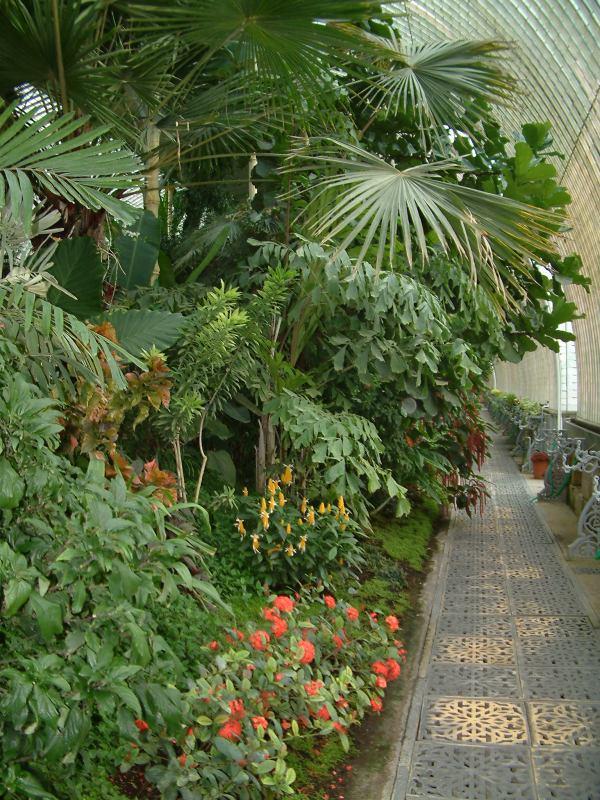 * Image 97